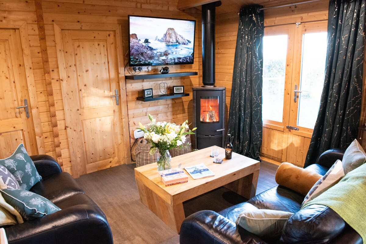Cosy lounge with wood-burning stove